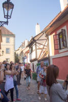 Golden Lane