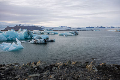 Panorama of icebergs in Jökulsárlón glacier lagoon
