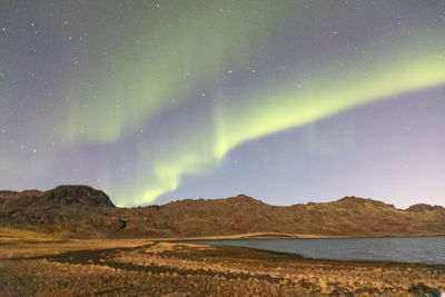 Northern lights and the Plough, not quite in focus and stars trailed