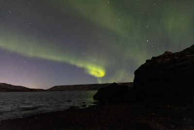 Northern lights not quite in focus and stars trailed