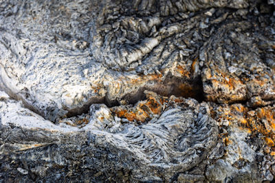 Close-up of fissure