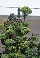 Central garden