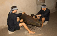 Viet Cong dummies re-using unexploded American munitions