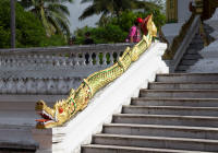 Dragon rail on steps of Haw Pha bang