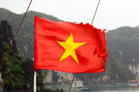 Vietnamese flag