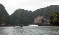 Tourists being (upright) rowed around an island