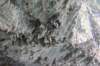 Stalactites in arch
