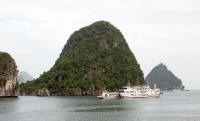 Cruise ships