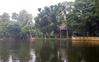 Stilt house and “Uncle Ho’s fishpond”