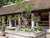 Model landscape with tree