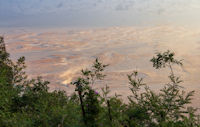 Horses in the Tengger Sand Sea