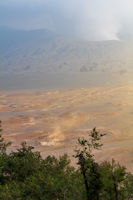 Horses in the Tengger Sand Sea