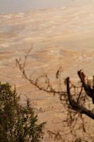 Horses in the Tengger Sand Sea