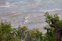 Horses in the Tengger Sand Sea