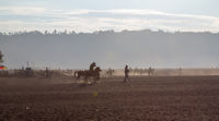 Horses on the Sand Sea