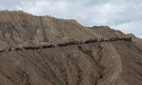 Horses on the platform at the base of the stairway to the crater rim of Mount Bromo