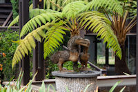 Fern pot by the Jiwa Jawa café