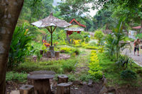 Garden on the way to the Madakaripura Waterfall