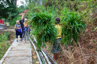 Linda, Martin and Margaret Whiteley meet a gardener on the way to the Madakaripura Waterfall