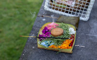 Hindu offering in the grounds of the Puri Santrian