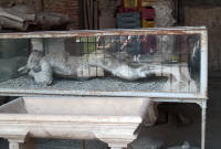 Victim cast