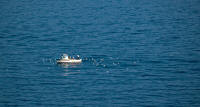 fishing boat