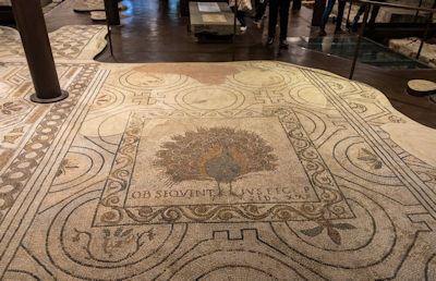 Peacock on the mosaic floor of the Santa Reparata (the Duomo's predecessor) in the crypt of the Duomo