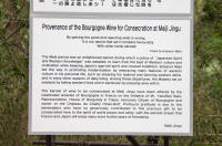 Notice about the barrels of wine offered to the Shinto deities