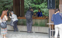 Purifying area