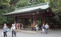 Purifying area