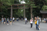 Torii with Meiji chrysanthemum symbols