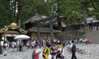 Torii