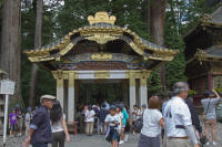 Purification area
