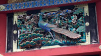 Peacock carving