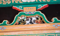 Nemuri-neko: sleeping cat carving