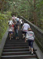 Steps up to tomb of Tokugawa Ieyasu