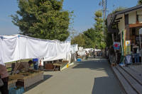 Miyagawa morning market