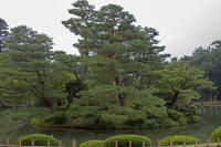 Horajima island