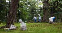 Gardeners