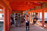 Tour-group at the Itsukushima-jinja shrine