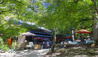 Restaurant near base of Mt Misen where I had lunch