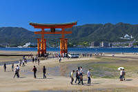O-torii “floating” gate at low tide