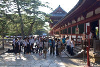 School party and other visitors and deer outside the Todai-ji temple enclosure
