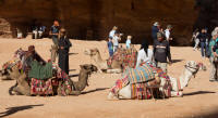 Camels in front of The Treasury