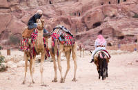 4-legged transport