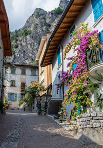 Flowers on house in steep street
