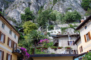 Vertical gardens