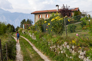Magda passes a well-kept garden