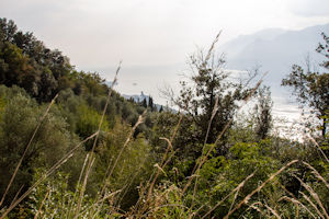 Malcesine from ~2.5km