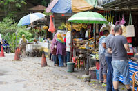 Roadside stalls near the Lata Iskandar waterfall